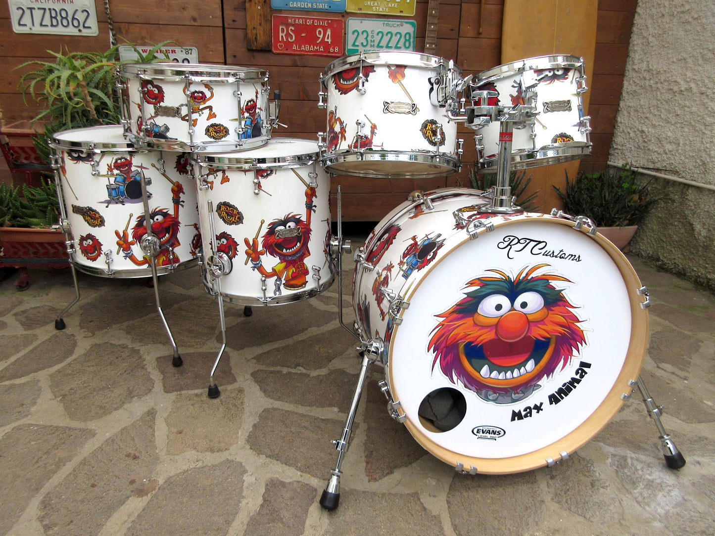 RT Custom Drums, “Animal”, usata.