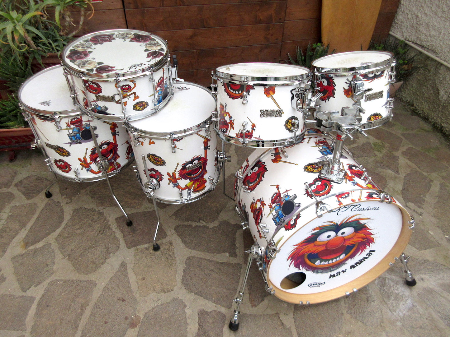 RT Custom Drums, “Animal”, used.