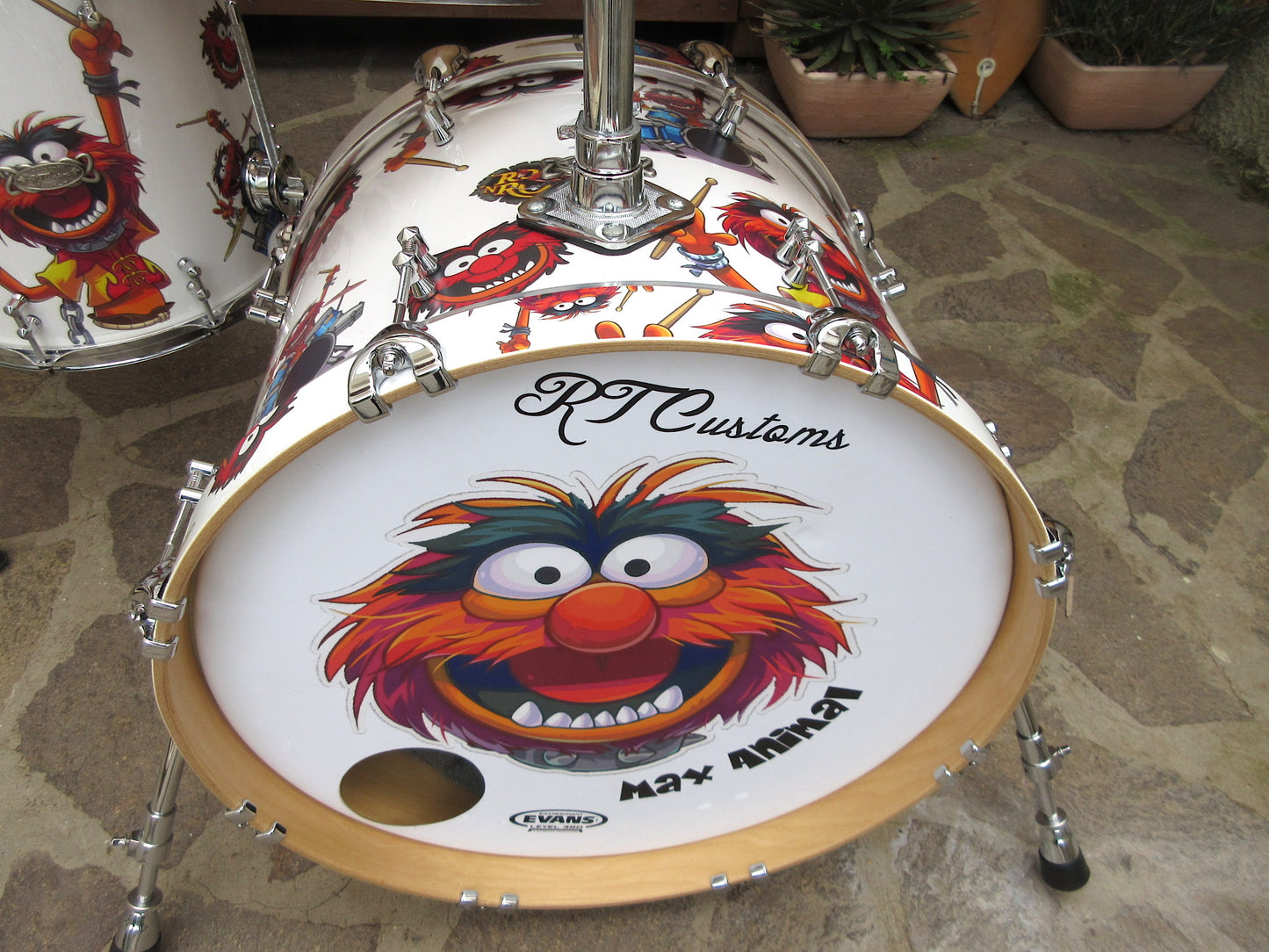 RT Custom Drums, “Animal”, usata.