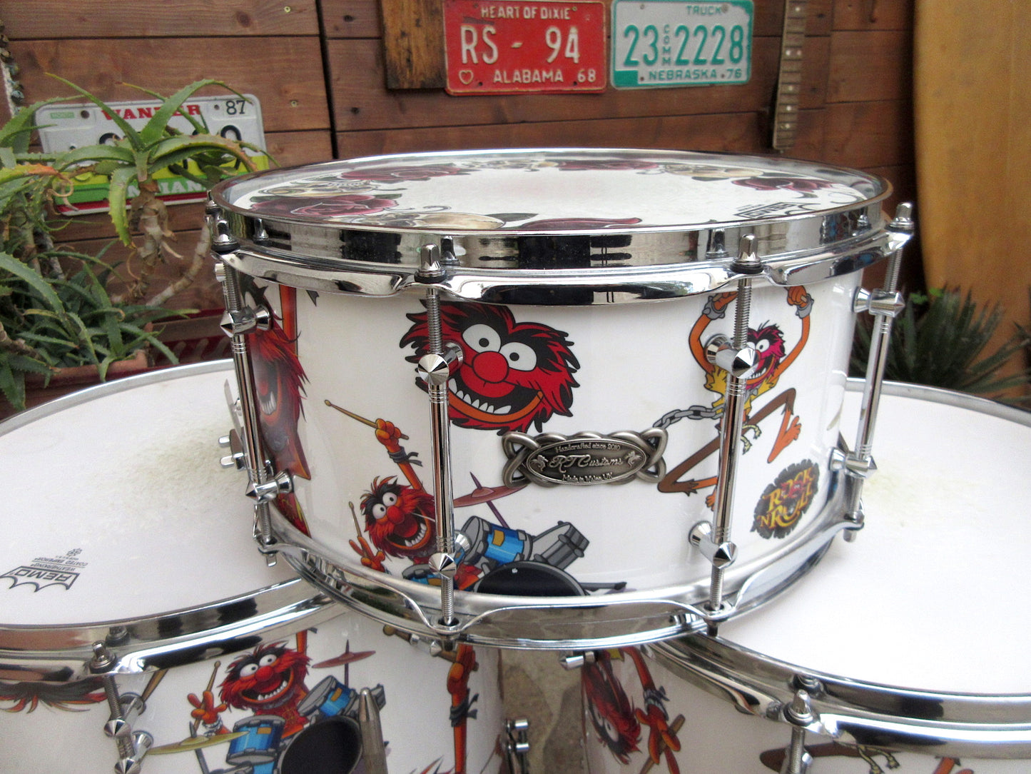 RT Custom Drums, “Animal”, usata.