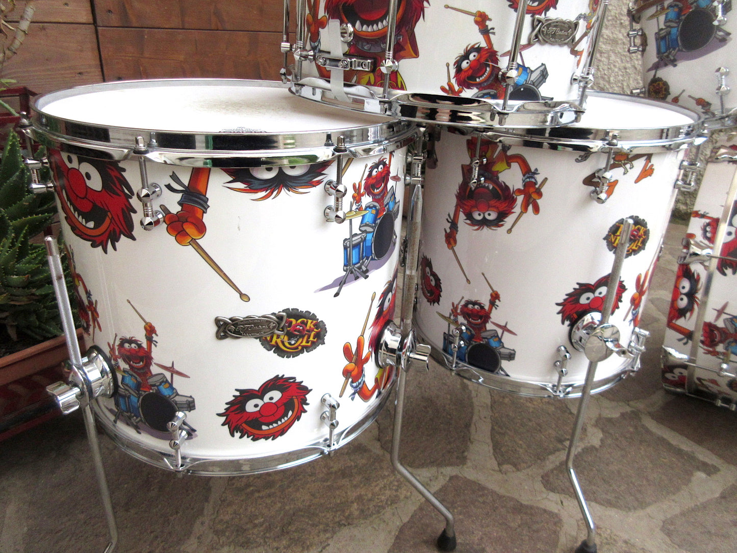 RT Custom Drums, “Animal”, usata.