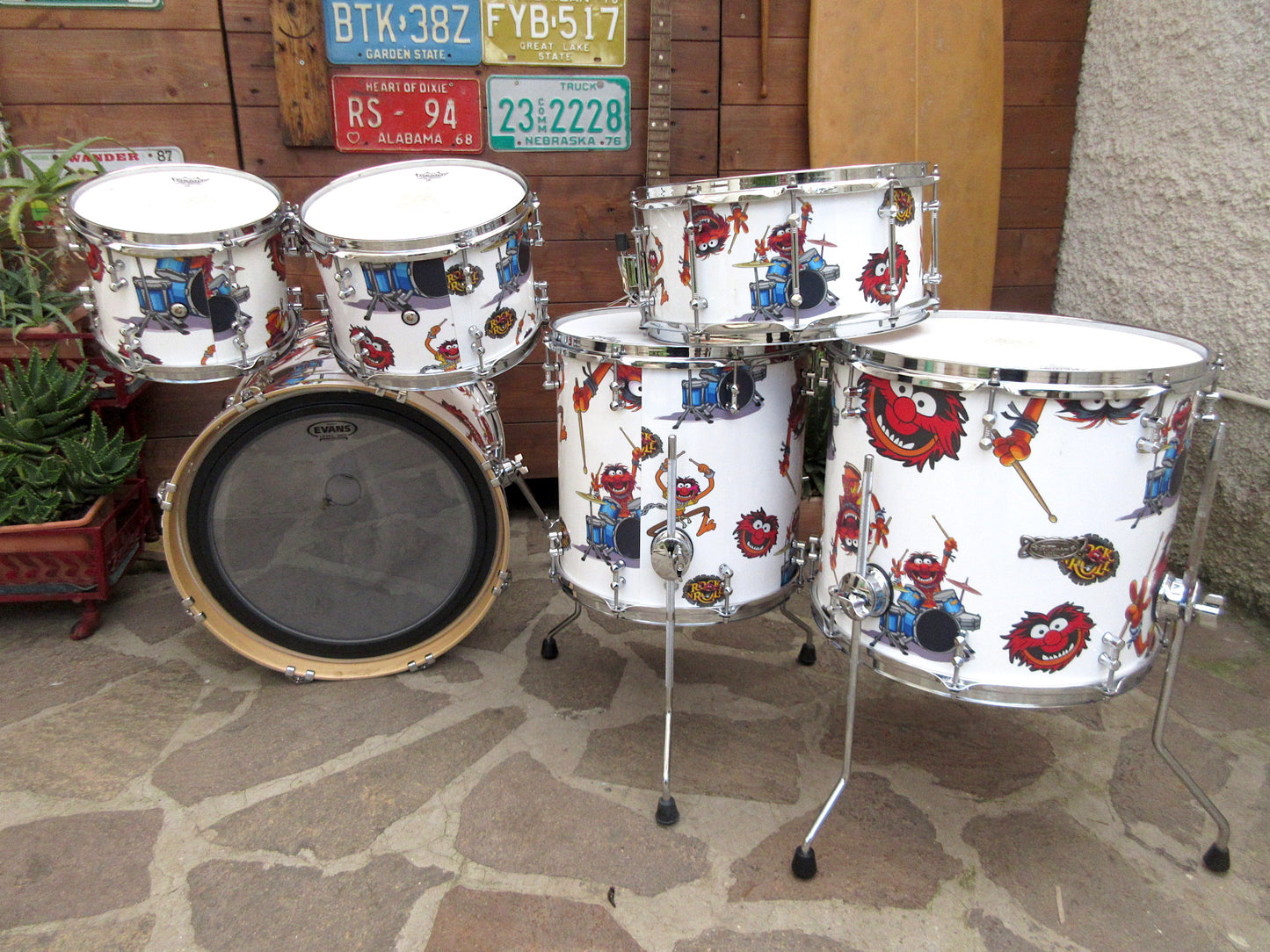 RT Custom Drums, “Animal”, used.