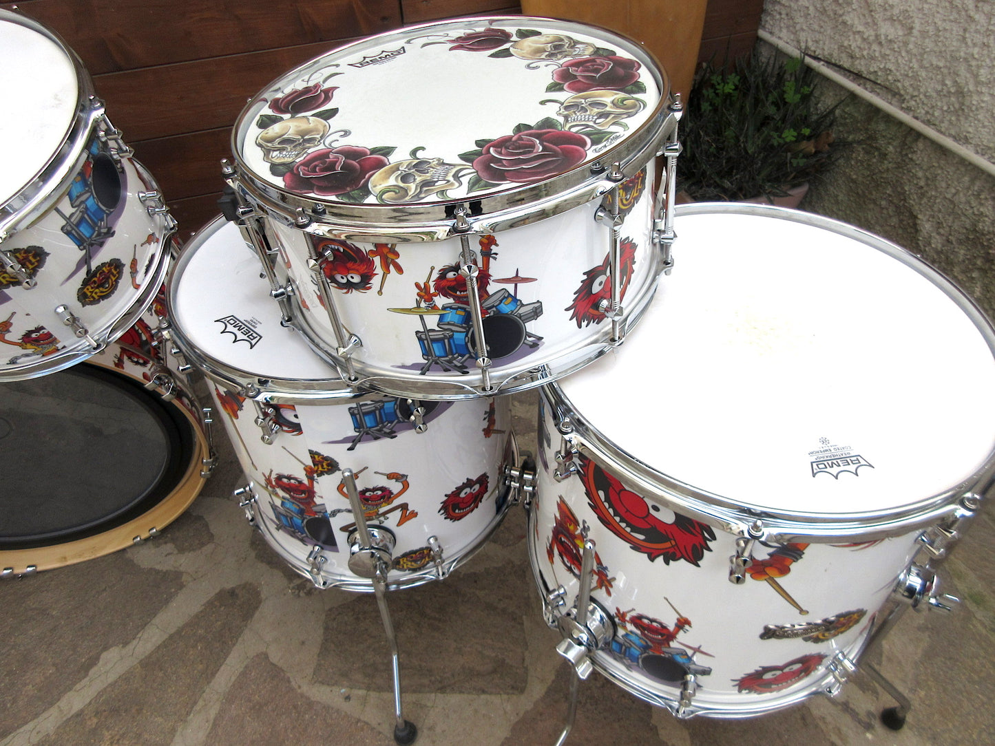 RT Custom Drums, “Animal”, used.