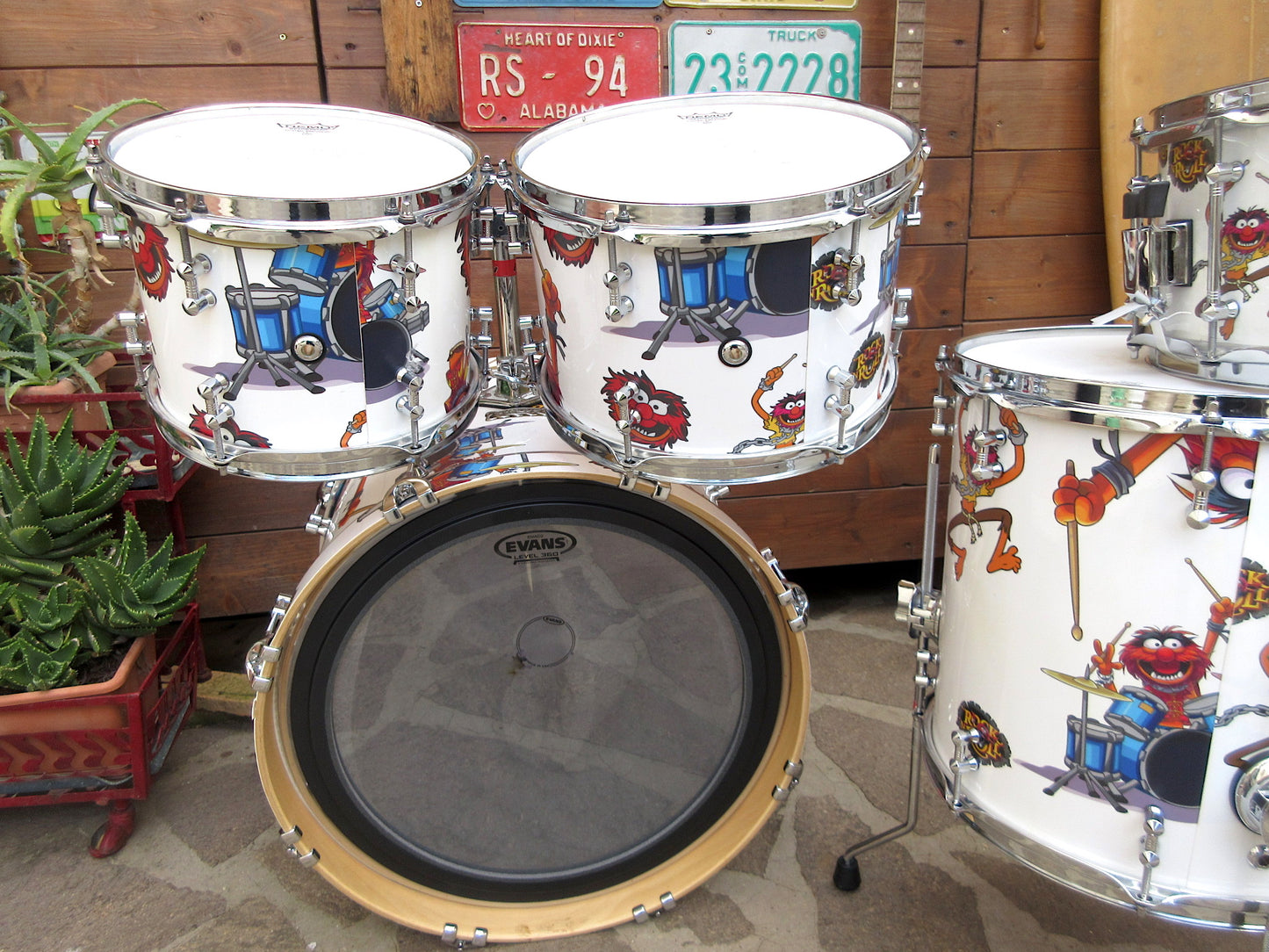 RT Custom Drums, “Animal”, used.