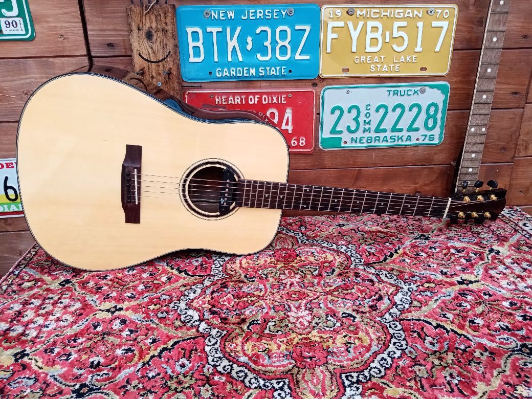 EFFEDOT D-2-28G, chitarra acustica elettrificata.