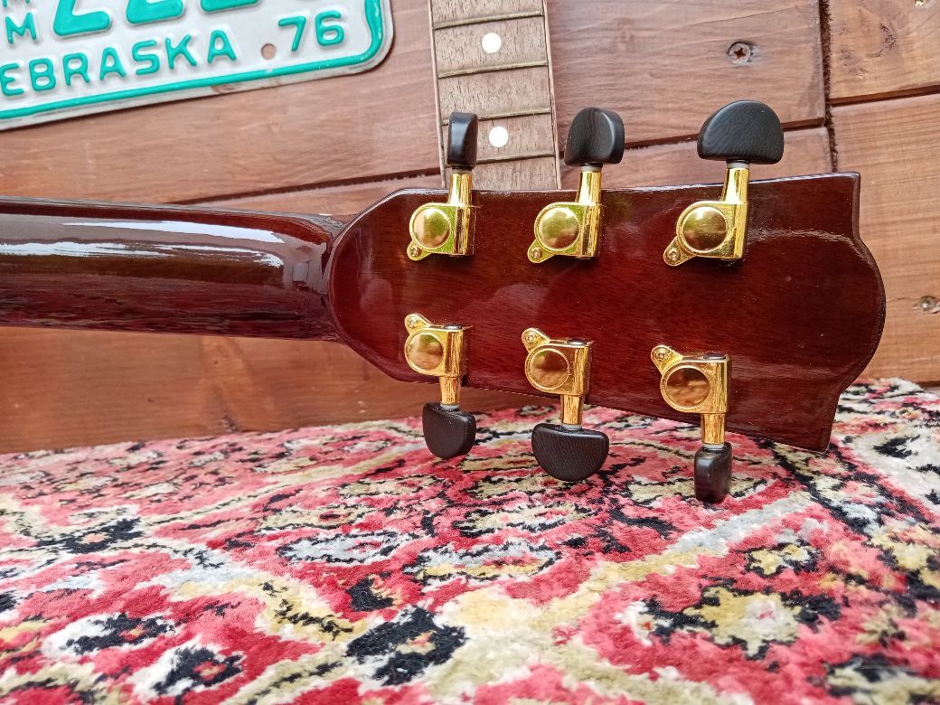 EFFEDOT D-2-28G, chitarra acustica elettrificata.
