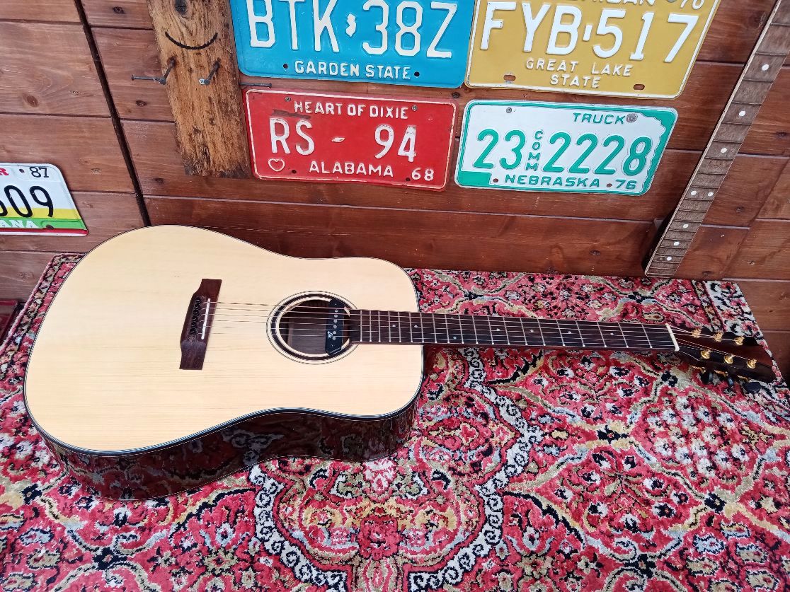 EFFEDOT D-2-28G, chitarra acustica elettrificata.
