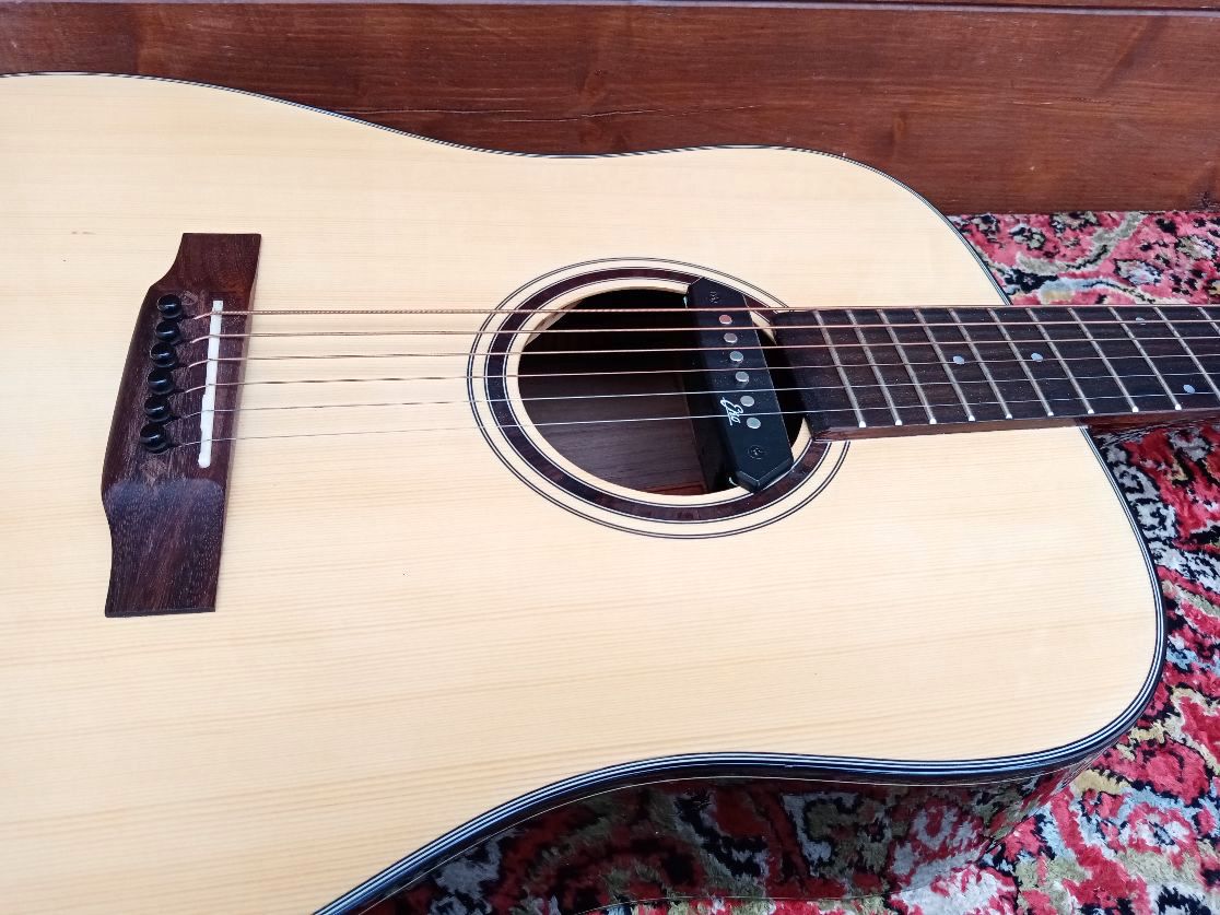EFFEDOT D-2-28G, chitarra acustica elettrificata.