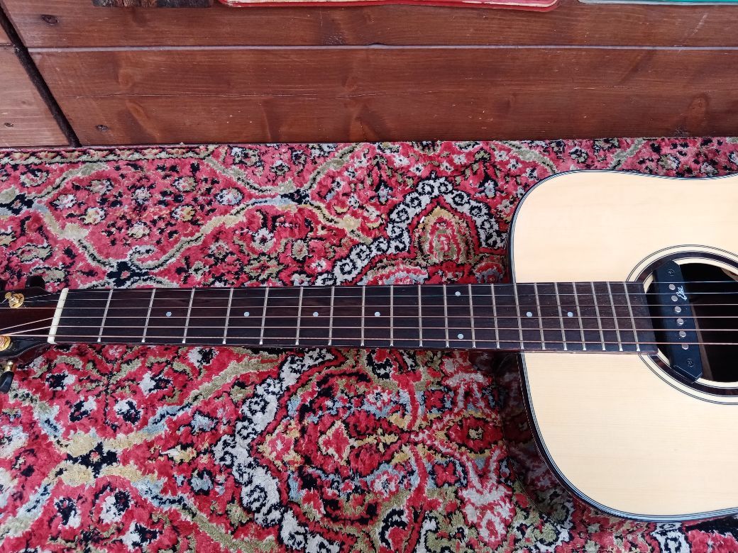 EFFEDOT D-2-28G, chitarra acustica elettrificata.