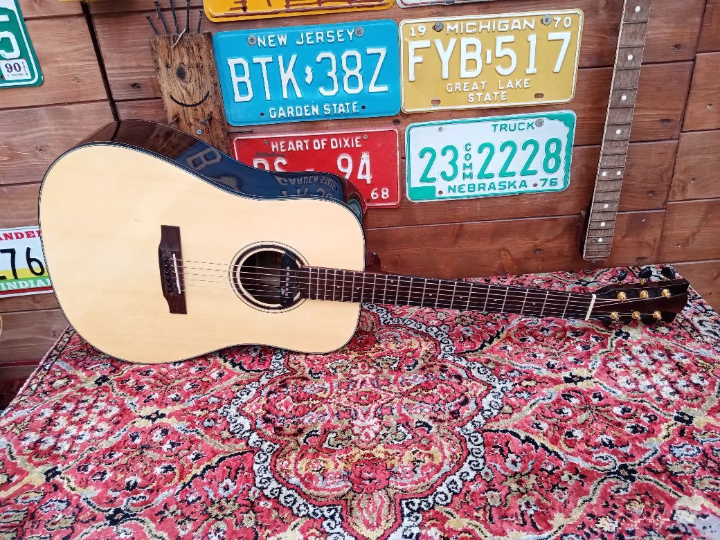 EFFEDOT D-2-28G, chitarra acustica elettrificata.