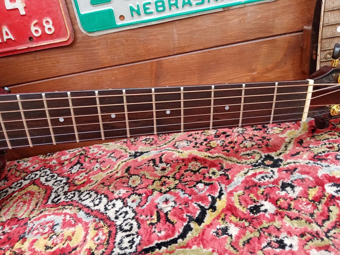 EFFEDOT D-2-28G, chitarra acustica elettrificata.