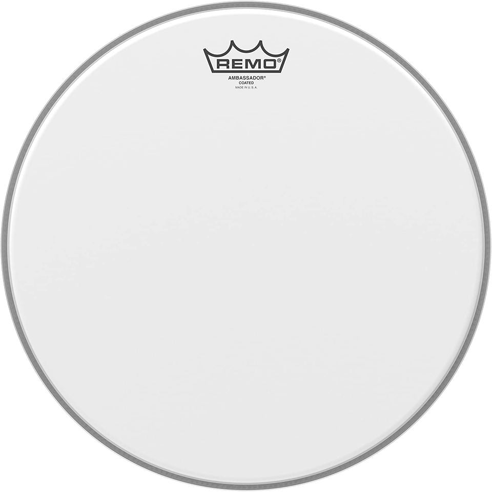 remo141.jpg