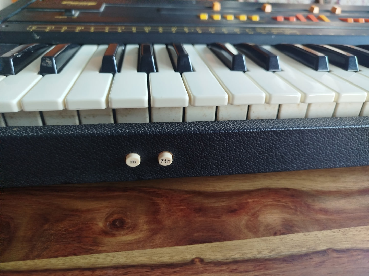 EKO Pony Synth 1981, vintage analog syntesizer.