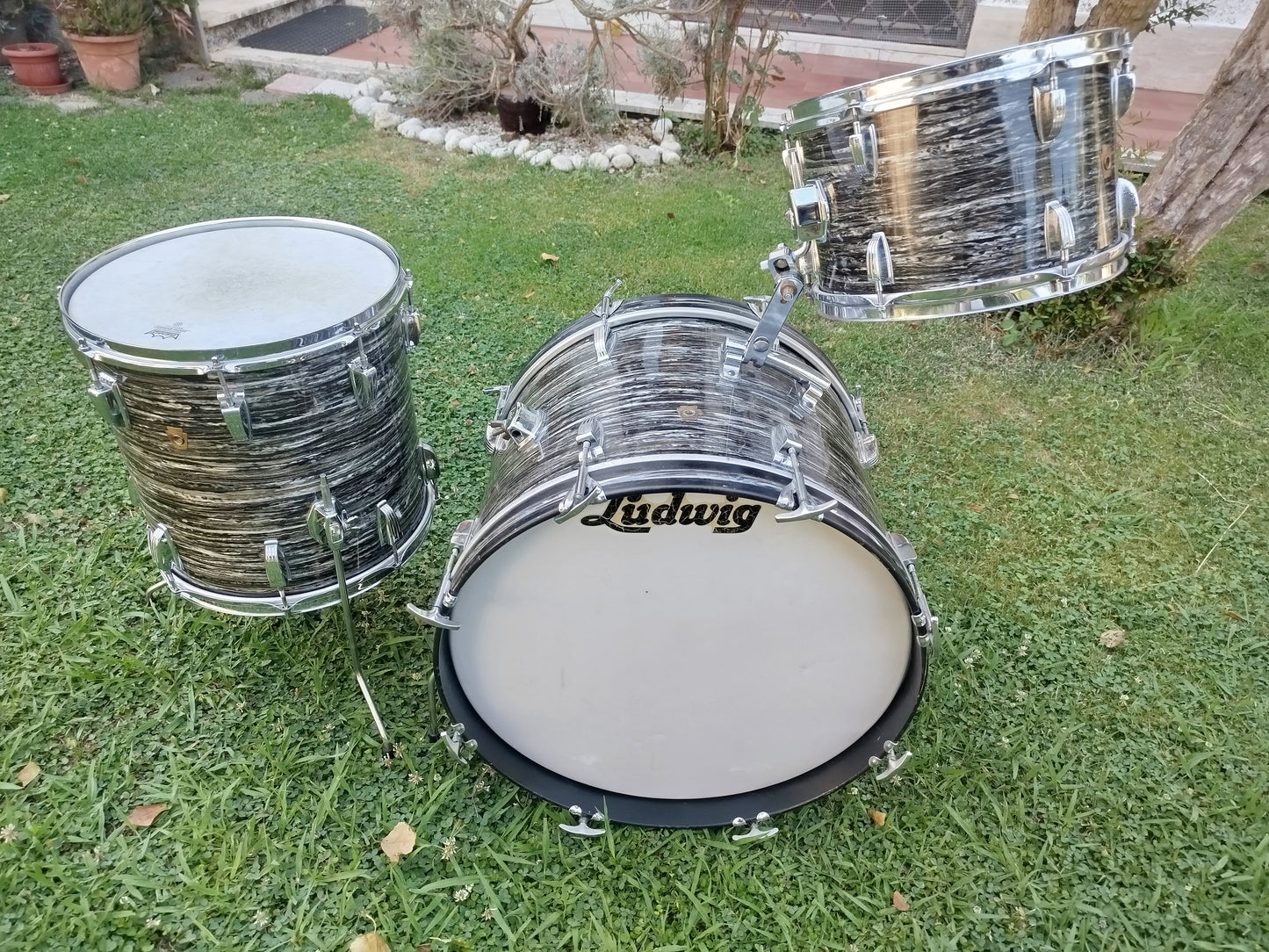 LUDWIG Downbeat Black Oyster Black, 1969.