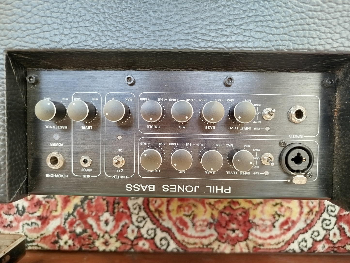 PHIL JONES BG-100 Bass Cub, usato.