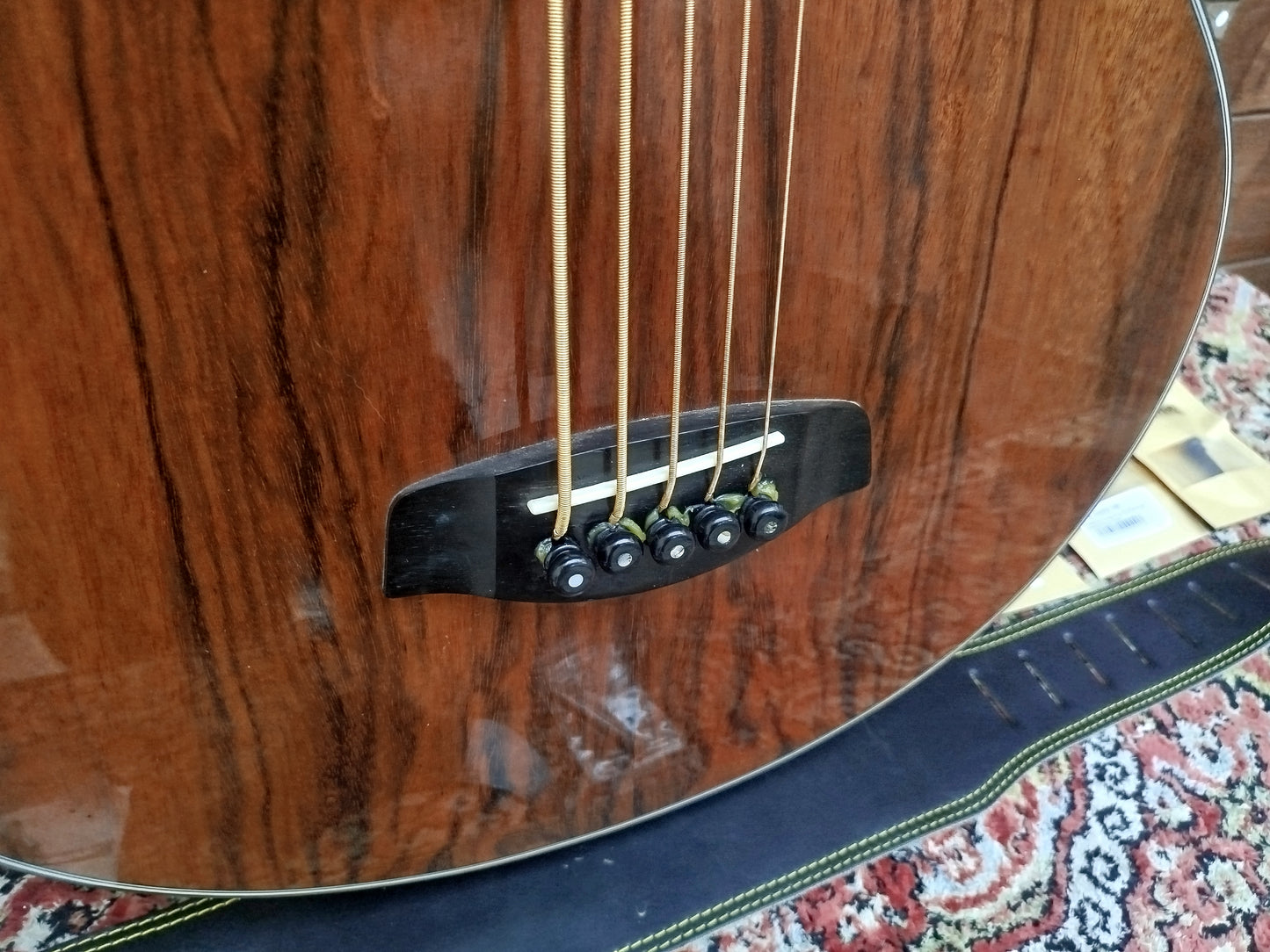 ORTEGA D3C-5 acoustic bass, usato.