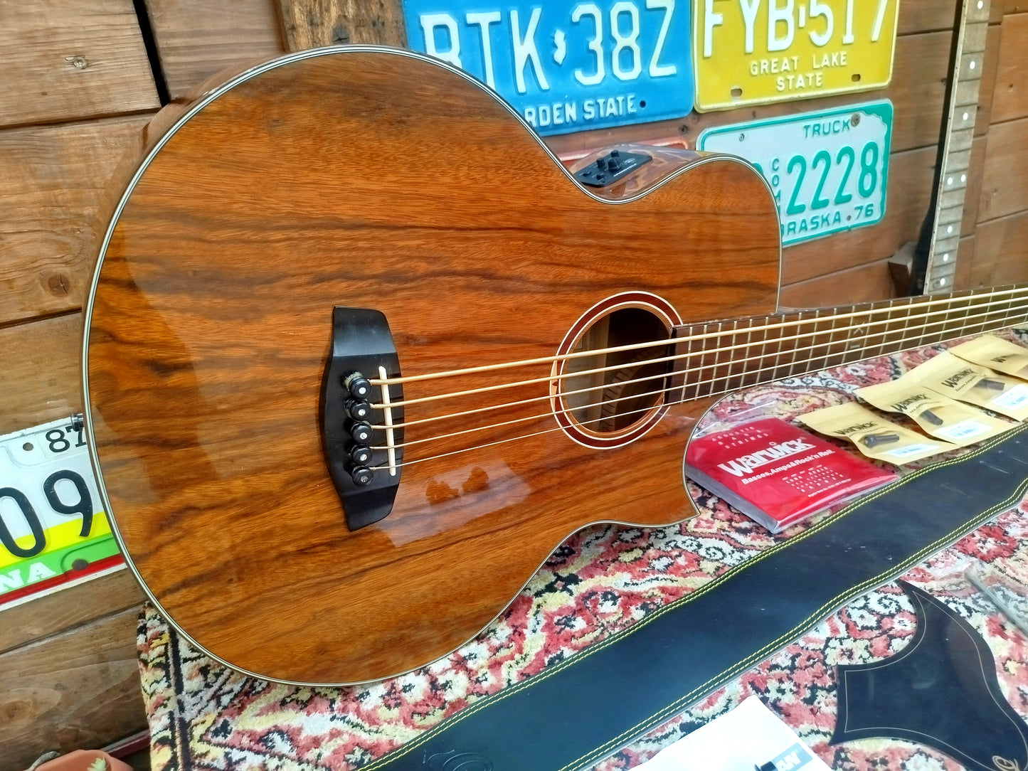 ORTEGA D3C-5 acoustic bass, usato.