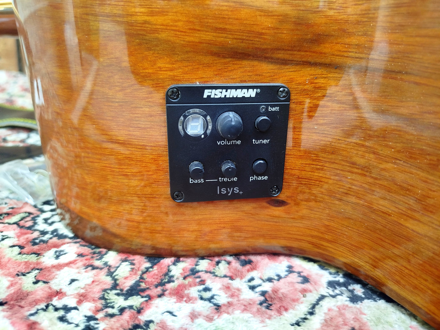 ORTEGA D3C-5 acoustic bass, usato.