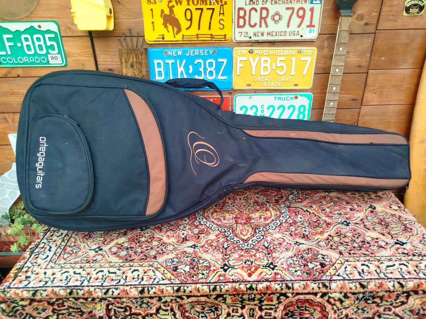 ORTEGA D3C-5 acoustic bass, usato.