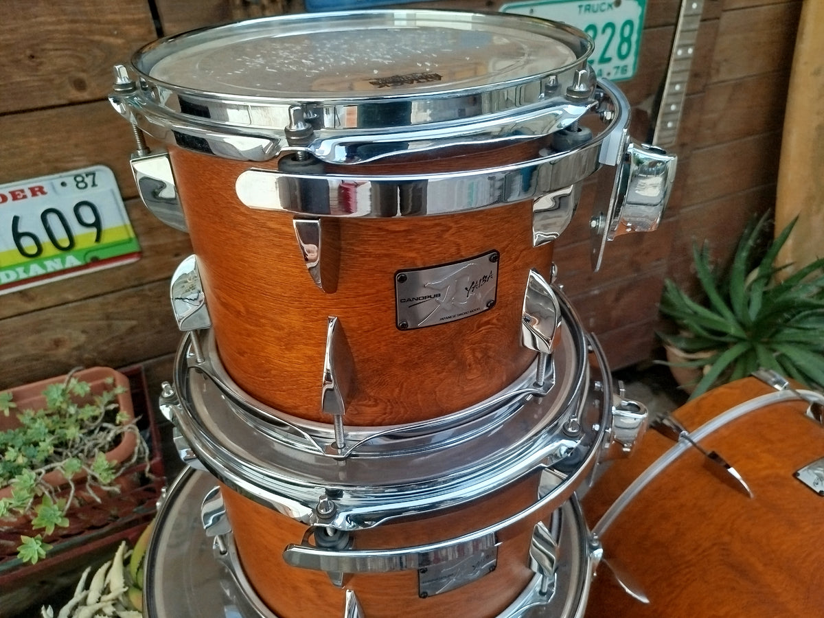 CANOPUS Yaiba II Groove Kit, Birch Antique Amber Matt.