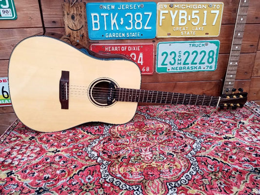 EFFEDOT D-2-28G, electrified acoustic guitar.