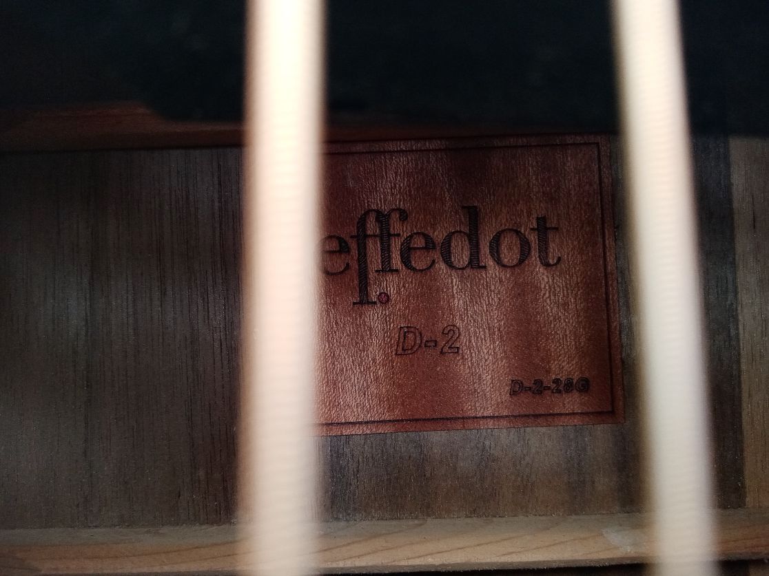 EFFEDOT D-2-28G, electrified acoustic guitar.