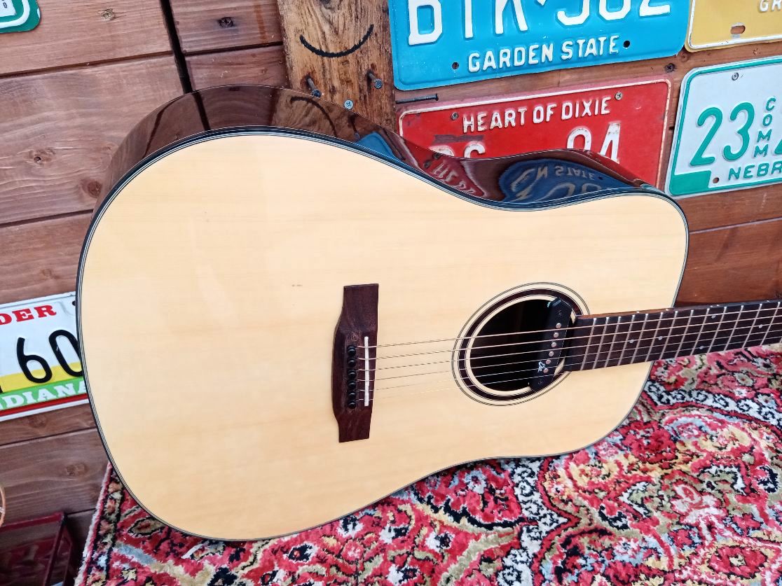 EFFEDOT D-2-28G, electrified acoustic guitar.