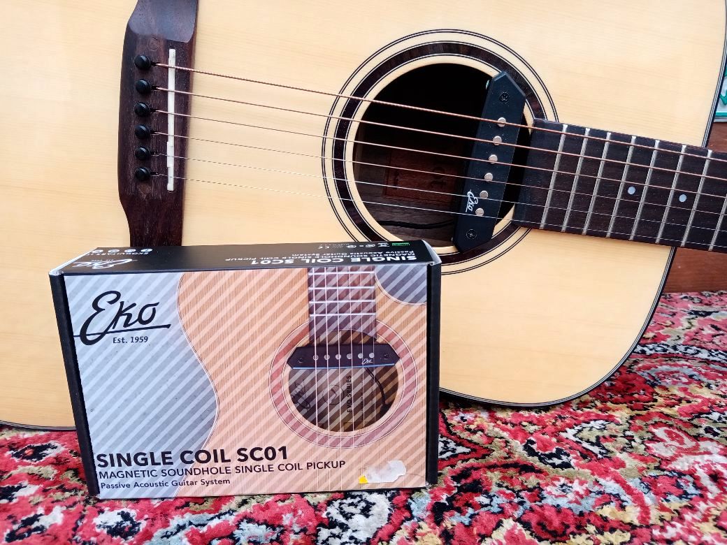 EFFEDOT D-2-28G, electrified acoustic guitar.