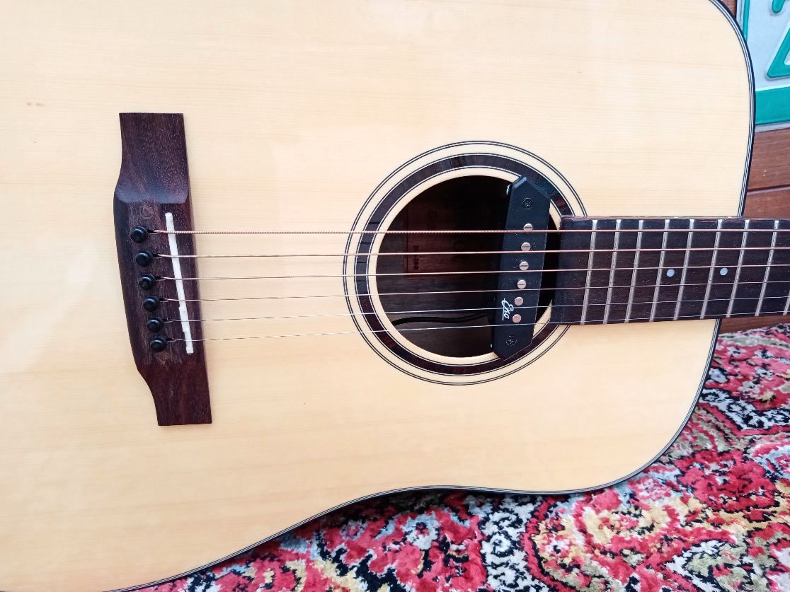 EFFEDOT D-2-28G, electrified acoustic guitar.