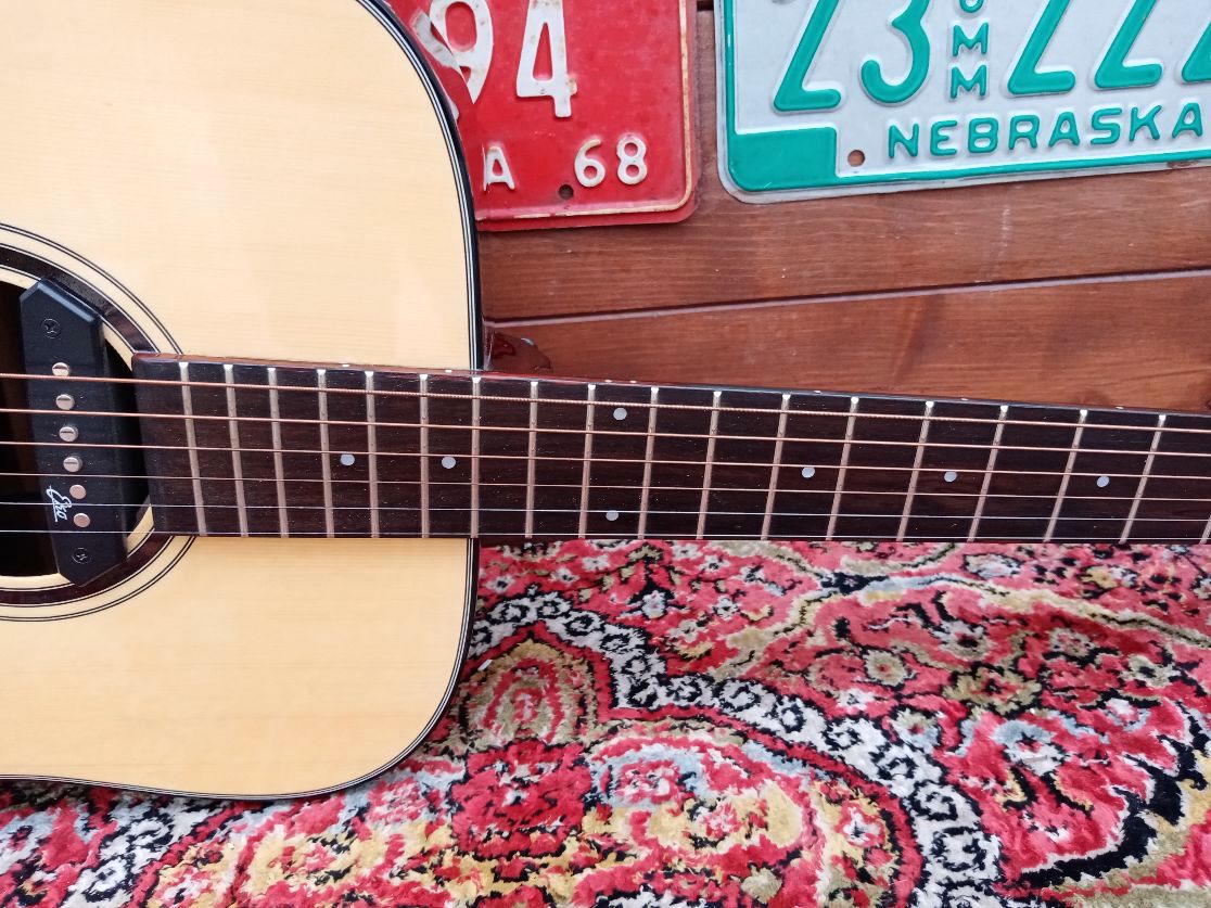 EFFEDOT D-2-28G, electrified acoustic guitar.